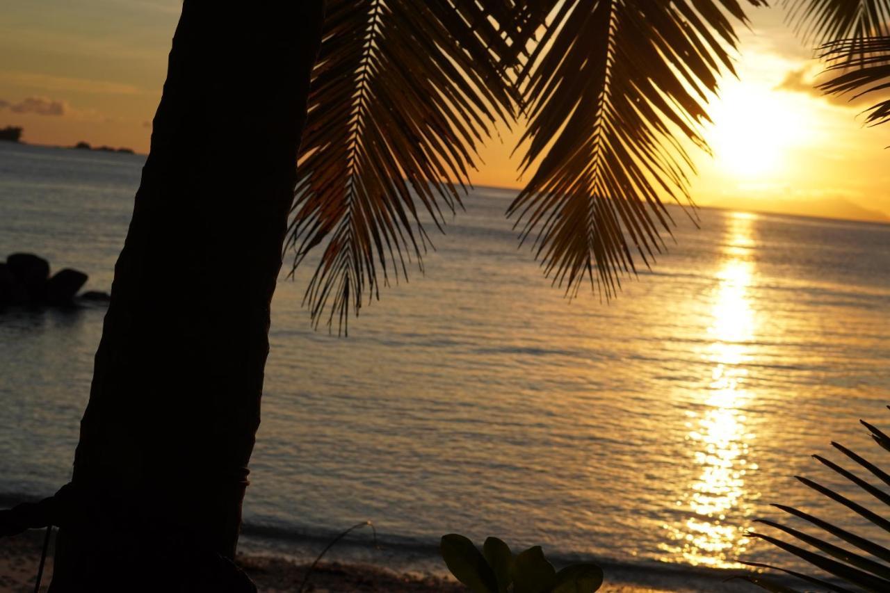 Anse Kerlan Beach Chalets Eksteriør bilde